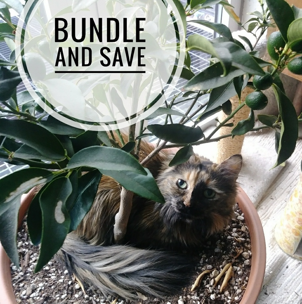 BIG bundle discounts